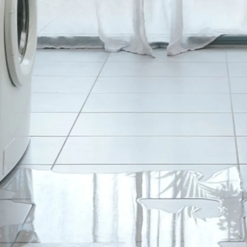 Appliance Leak Cleanup in Crainville, IL