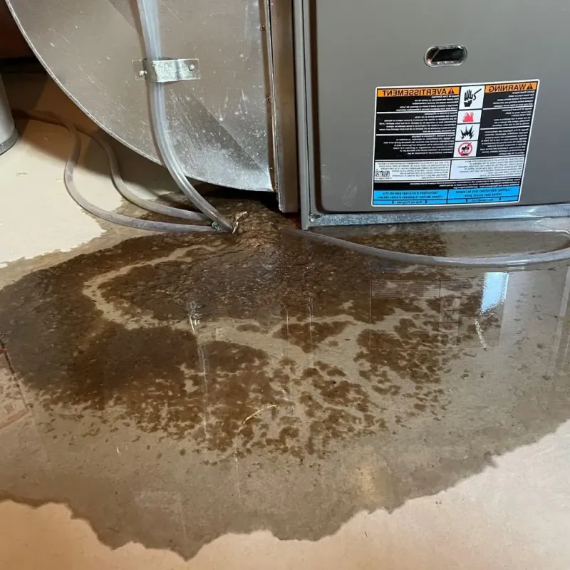 Pipe Burst and Leak Restoration in Crainville, IL