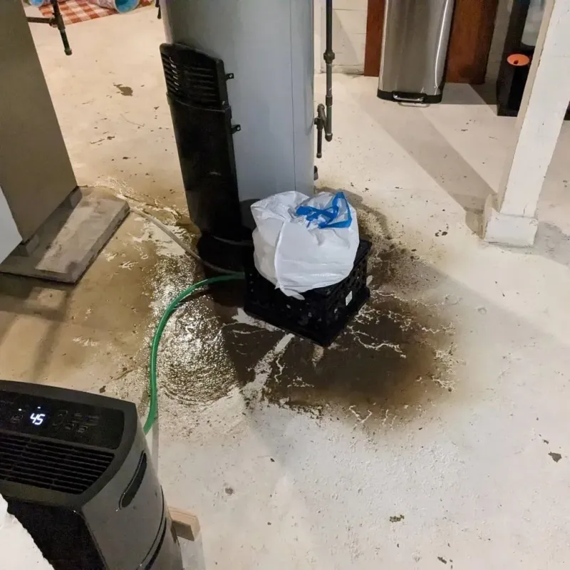 Sewage Backup Cleanup Service in Crainville, IL